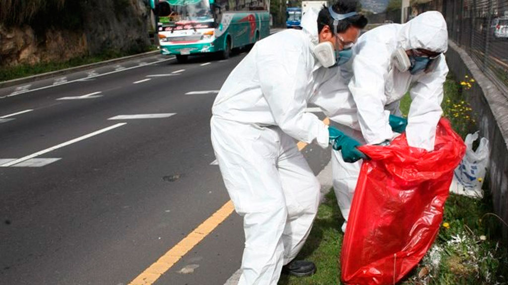 Piden reportar los cadáveres de animales