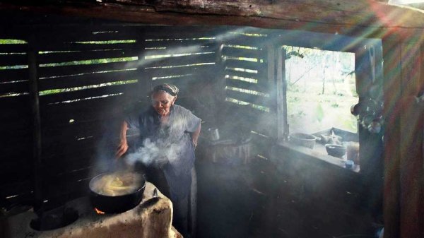 Estos son los municipios de Guanajuato donde más queman leña