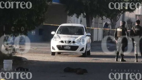 Balean a reportero que cubría nota sobre la localización de restos humanos en Salamanca