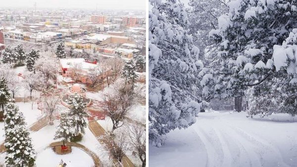 Brinda nieve un espectacular paisaje en Chihuahua