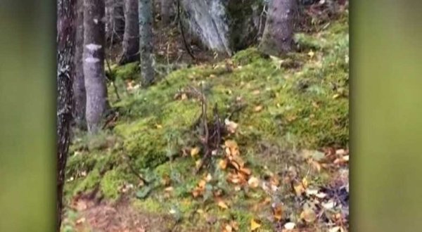 ¿La Tierra respira? Captan impresionante video