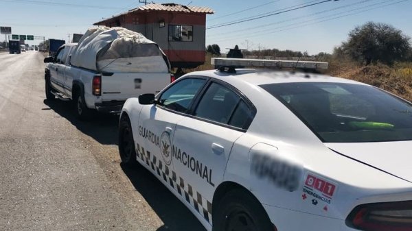 En inspección rutinaria, Guardia Nacional da 600 pieles sin documentación