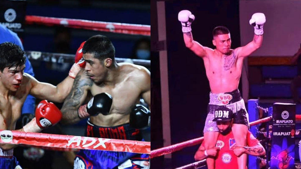 Irapuato tiene nuevos campeones mundiales de boxeo