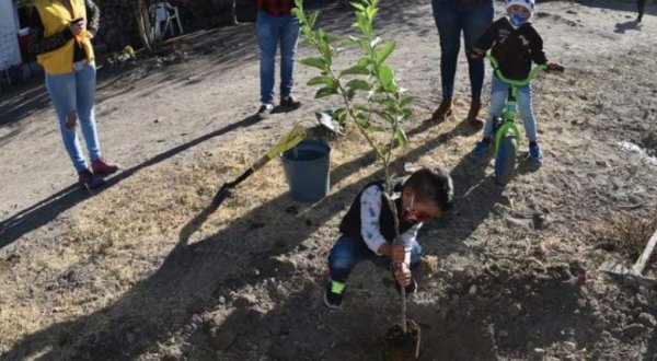 Participan en reforestación de áreas verdes en El Comederíto