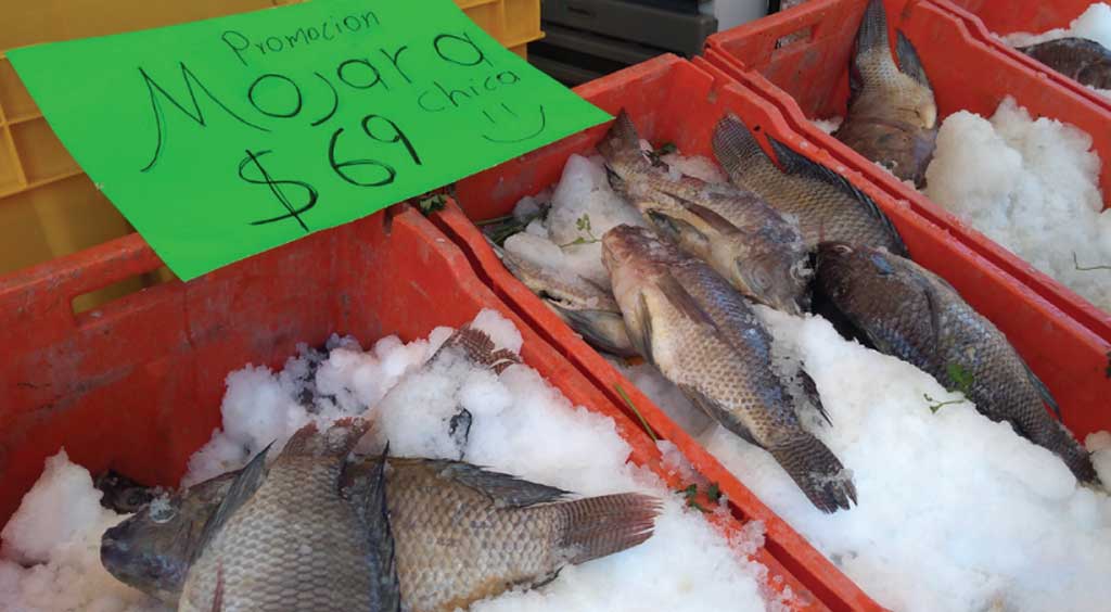 Son ventas de mariscos aún más bajas que sus precios