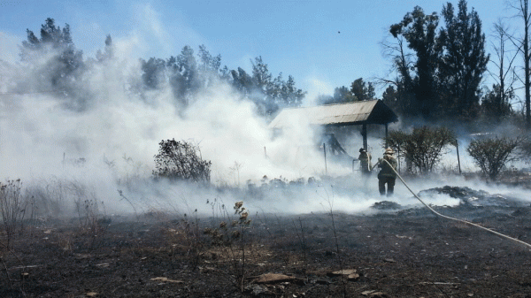 Tras sequías registran incendios de pastizales en la Capital