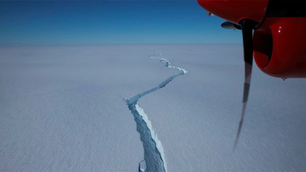 Iceberg más grande que el municipio de León se desprende de la Antártida