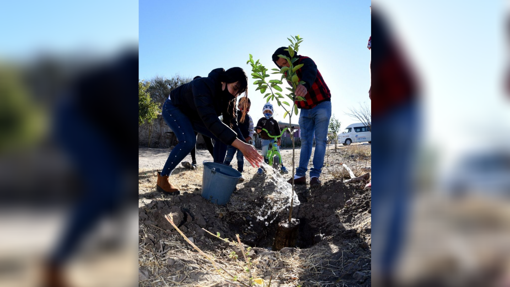 Fortalecen áreas verdes de Irapuato