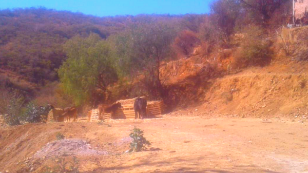 Retiran corrales que invadían caminos en la comunidad Llanos de Santa Ana