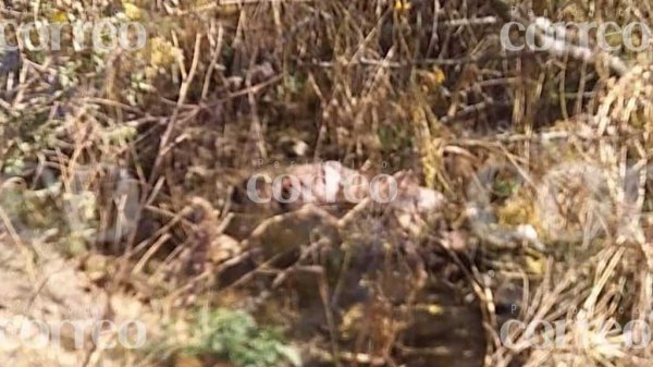 Encuentran cadáver flotando en un canal de Villagrán