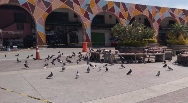 Podrían abrir paso al Centro Histórico