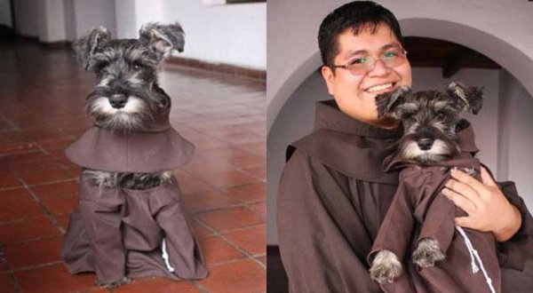 Conoce a Fray Bigotes, el adorable perrito adoptado por monjes