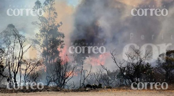 Se ‘prende’ la zona forestal de El Cubo