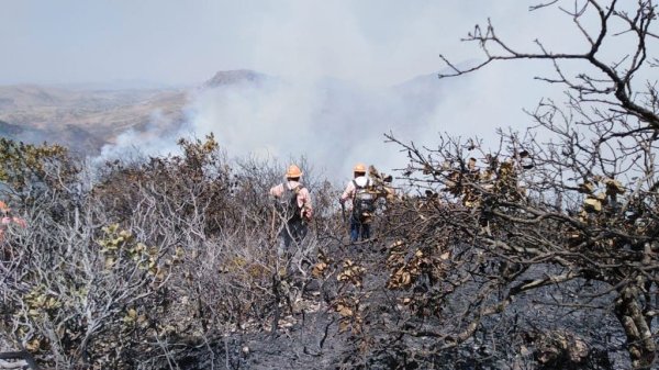 Tras cinco días de trabajos, logran sofocar incendio forestal en Guanajuato