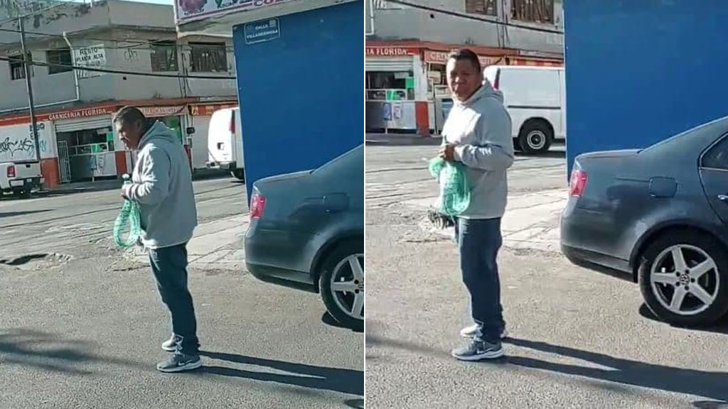 El ‘cazapalomas’ de Guanajuato ahora también ‘ataca’ en Irapuato