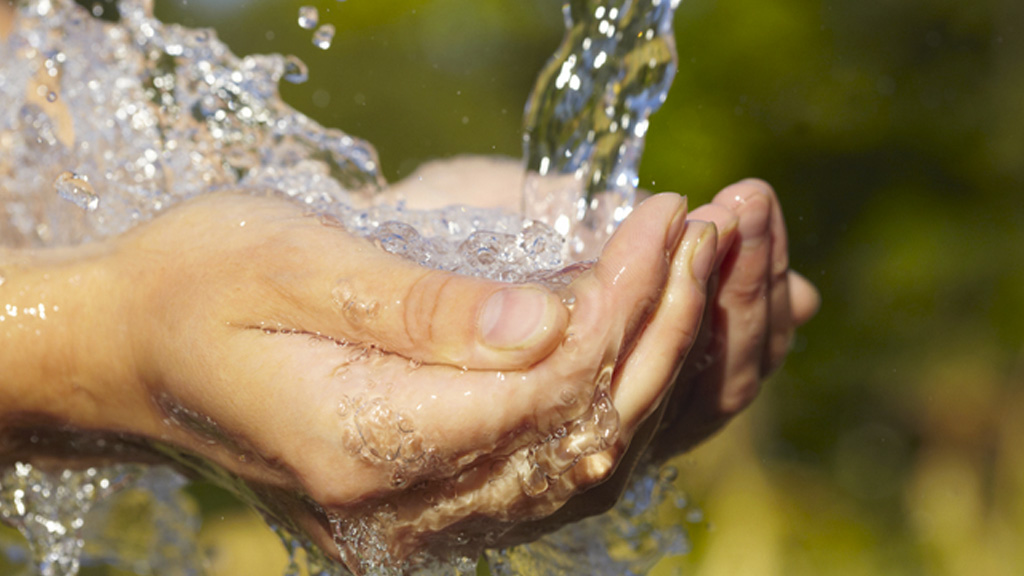 Prepara CEAG Semana Virtual para conmemorar el Día Mundial del Agua