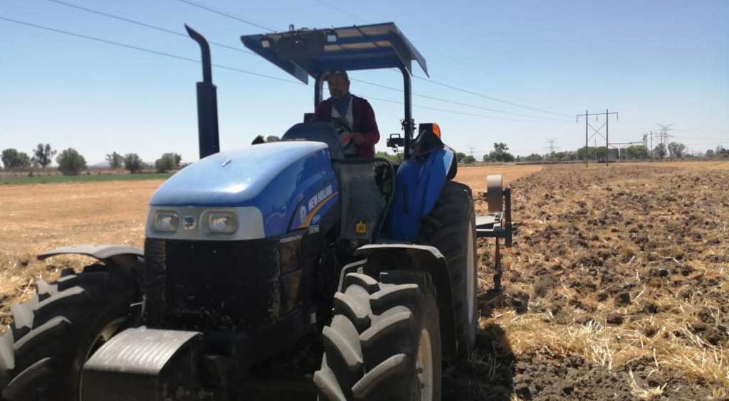 Campesinos ven difícil cultivo de la marihuana