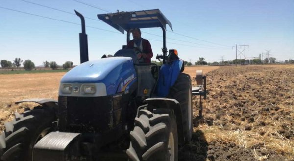 Campesinos ven difícil cultivo de la marihuana