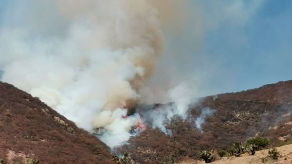 Luchan por controlar GRAN INCENDIO en el cerro del Capulín