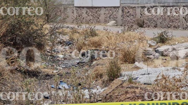 Localizan bolsas con presuntos restos humanos en Irapuato