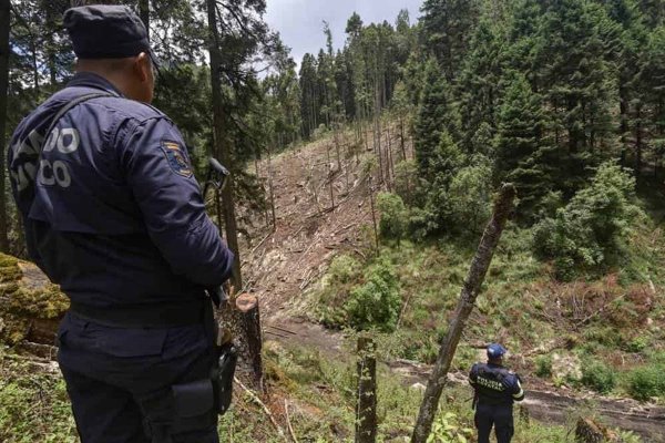 Identifican a Los Correa, nuevo cártel en Michoacán