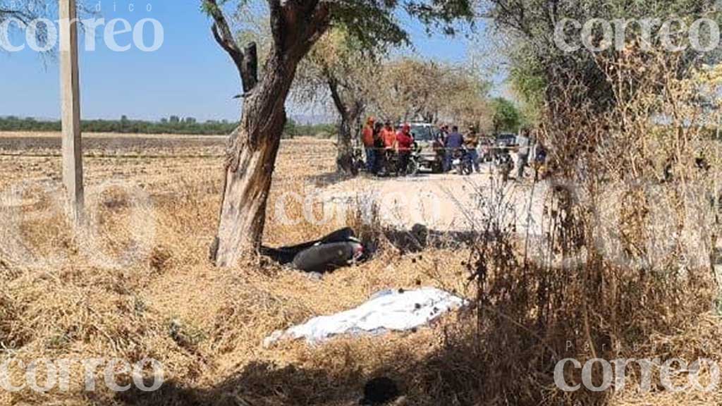 Un hombre murió tras impactarse contra un árbol