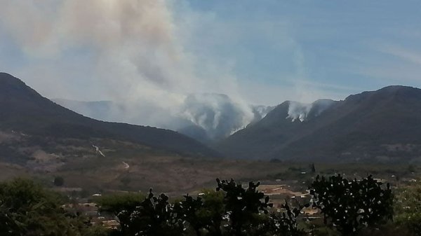 Cerro del Águila suma tres días en llamas; vientos avivan el fuego