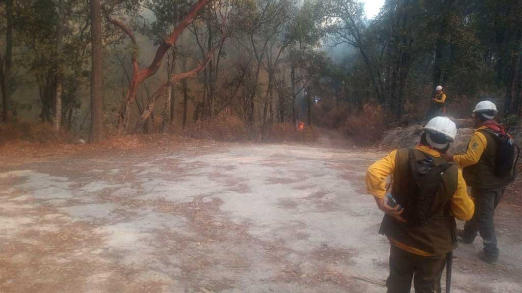 Incendio acaba con flora y fauna de la Sierra de Puruagua en Jerécuaro