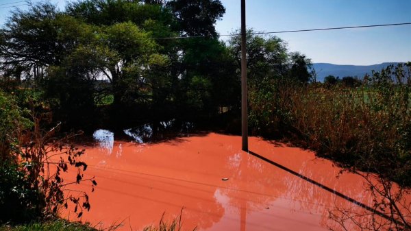 Arroyo de riego cercano a Área Natural Protegida se torna rojo