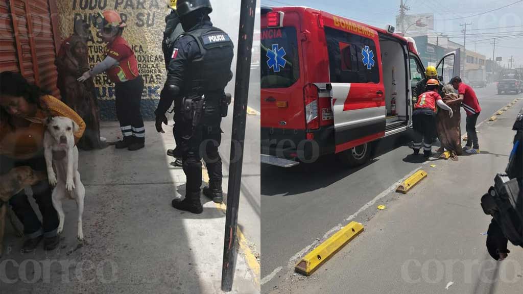 Rescatan a dos mujeres y dos perritos de fuerte incendio en Celaya