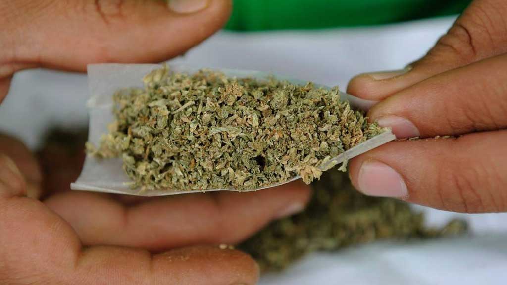 Insiste legislador que legalizar la marihuana ayudará a disminuir el narcomenudeo