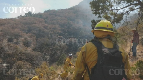 Ya está controlado el 90% del incendio forestal del cerro del Águila en Guanajuato