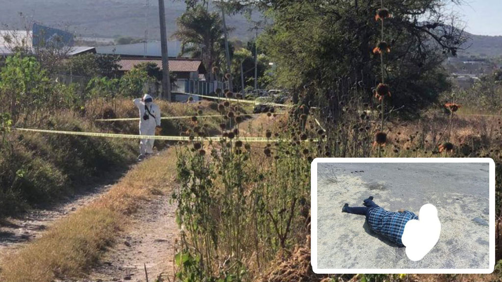 Encuentran cadáver con huellas de violencia en La Aurora, Celaya