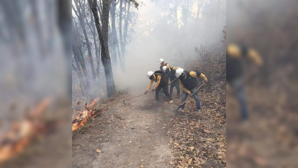 Logran controlar incendio forestal en la Sierra de los Agustinos