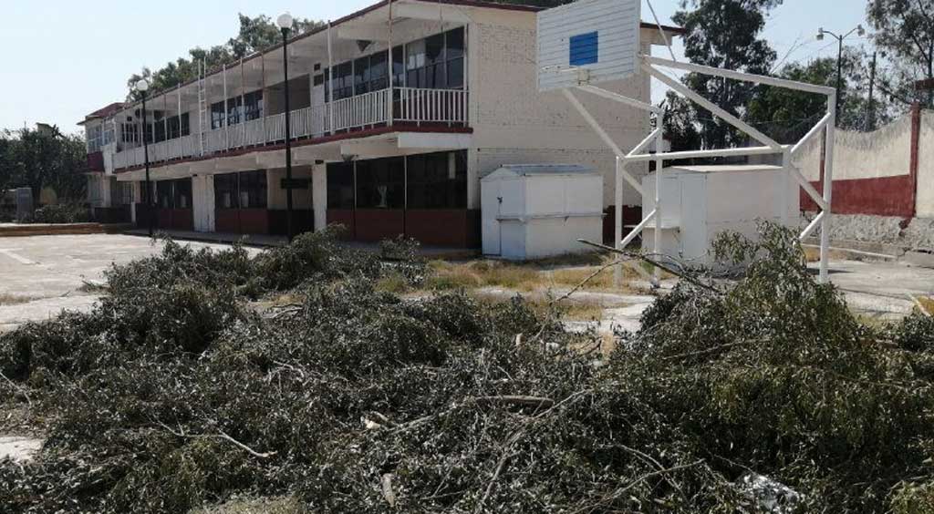 Brinda Parques y Jardines mantenimiento en escuelas