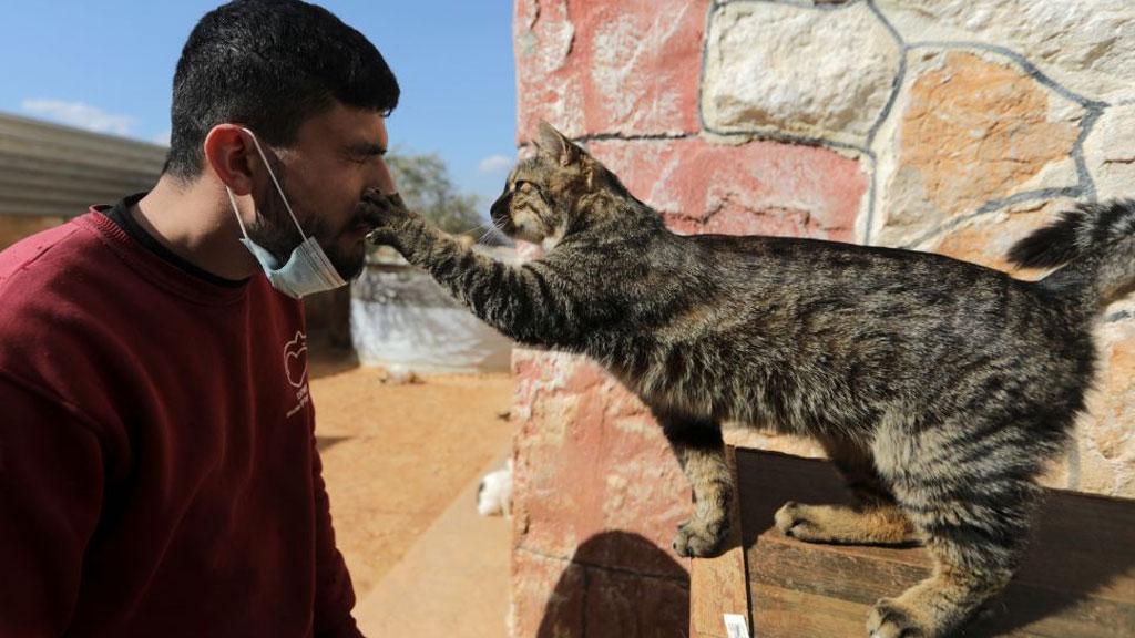 Rusia registra la primera vacuna contra Covid-19 para mascotas