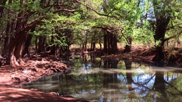 Área Natural Las Musas estará cerrada durante Semana Santa y Pascua