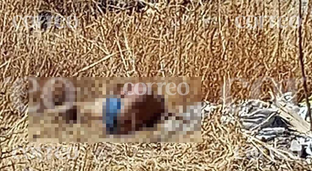 Descubren un cuerpo abandonado en un terreno baldío