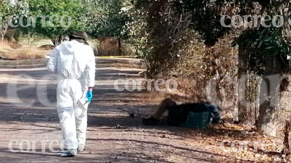 MACABRO. Abandonan dos cuerpos desmembrados dentro de cajas plásticas