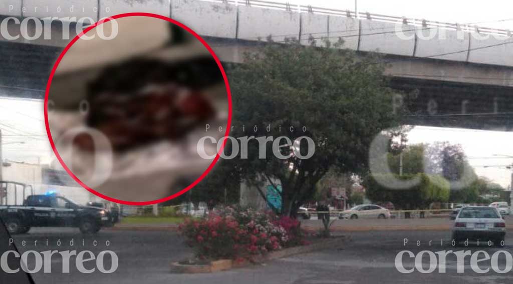 Abandonan cadáver desmembrado debajo de un puente en Celaya