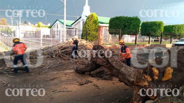 Fuertes vientos sorprenden a Irapuato y causan destrozos