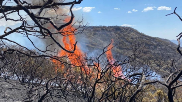 Detectan a personas prendiendo fuego cerca del cerro del Águila, lugar donde ocurrió el incendio forestal