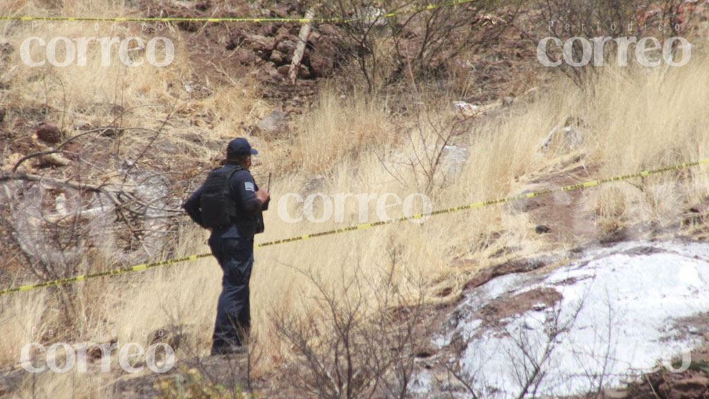 Aseguran a los perros que presuntamente mataron a un hombre en La Venada