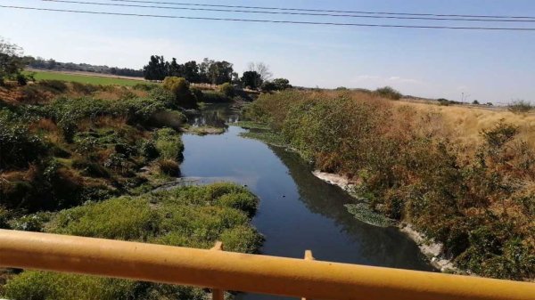 Integrantes de SURBA buscan limpiar márgenes del río Lerma