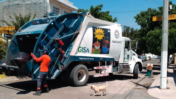 Piden a Cani atender problema de perros en Colinas de Río