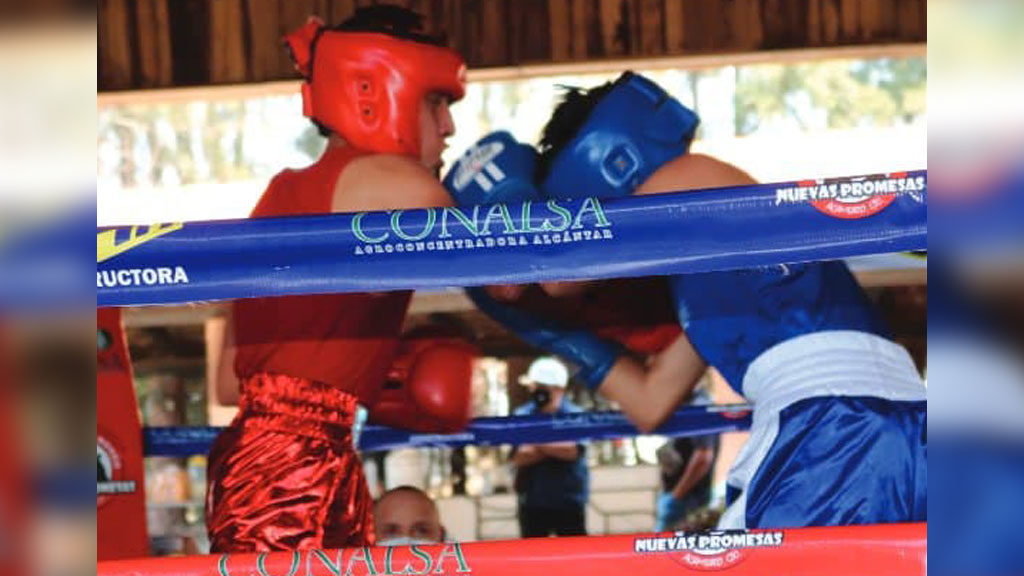 Disputan los cetros de la Global Boxing Federation