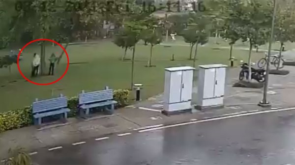 Video: Un rayo cae sobre cuatro personas refugiadas bajo un árbol y mata a una