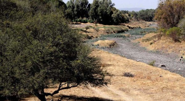 Continúan bajos niveles de agua en presas del estado