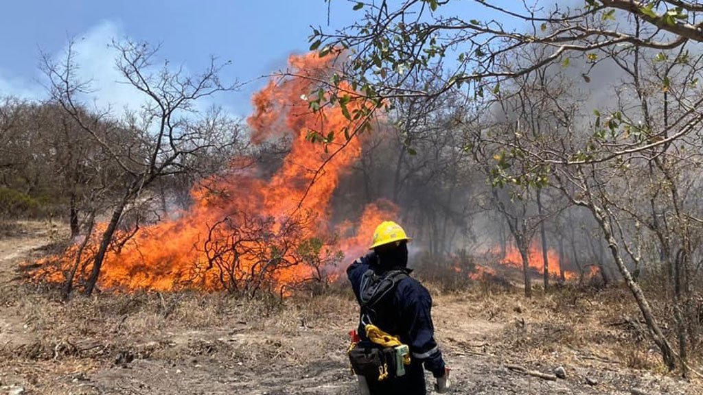 Controlan incendio en cerro de La Tapona tras tres días de lucha