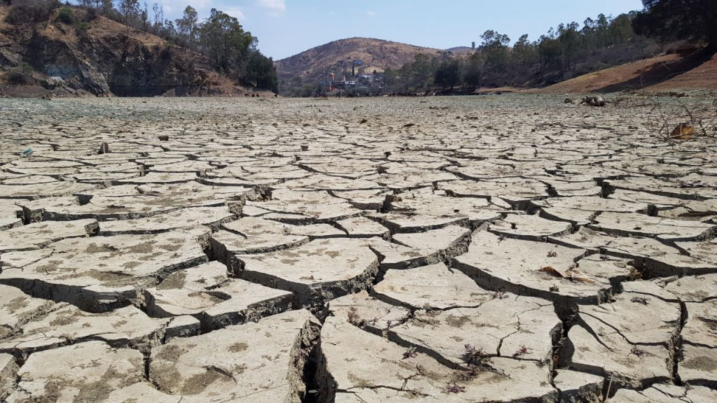 Agoniza campo guanajuatense por sequía extrema